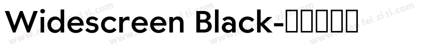 Widescreen Black字体转换